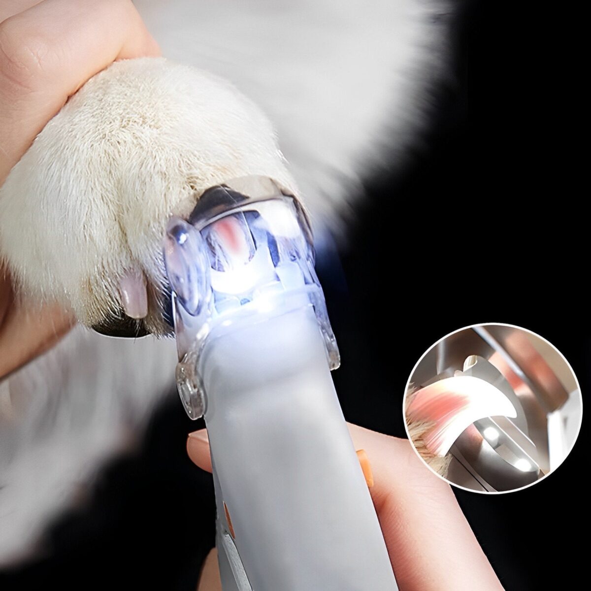 Dog Nail Clippers | Safe Toenail Trimmer