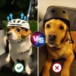 Small Medium Dog Helmet,Pet Helmet For Small Medium Dog Outdoor Driving Walking, Pet Helmets Cap With Adjustable Blet For Doggies Motorcycles, Medium