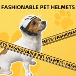 Small Medium Dog Helmet,Pet Helmet For Small Medium Dog Outdoor Driving Walking, Pet Helmets Cap With Adjustable Blet For Doggies Motorcycles, Medium