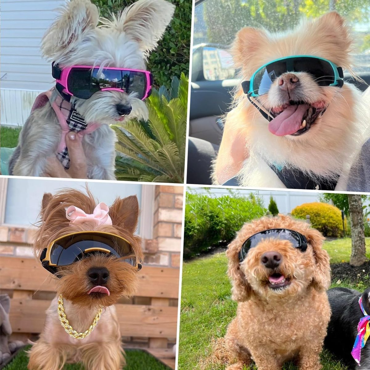 Enjoying Dog Sunglasses Small Dog Goggles Anti-Uv Doggy Glasses For Small Dogs Big Cats Impact/Wind/Dust/Fog Proof Puppy Eye Protection, Cute Blue