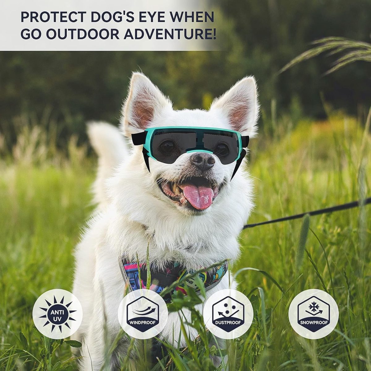 Enjoying Dog Sunglasses Small Dog Goggles Anti-Uv Doggy Glasses For Small Dogs Big Cats Impact/Wind/Dust/Fog Proof Puppy Eye Protection, Cute Blue