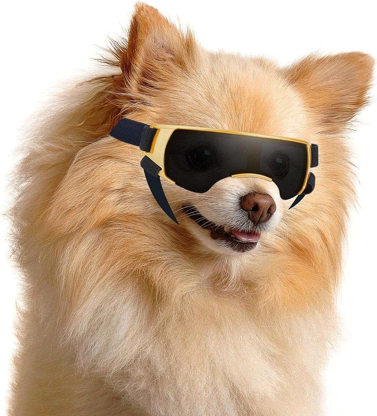 Enjoying Dog Sunglasses Small Dog Goggles Anti-Uv Doggy Glasses For Small Dogs Big Cats Impact/Wind/Dust/Fog Proof Puppy Eye Protection, Cute Blue